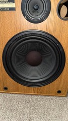 Pioneer Speakers CS-G204