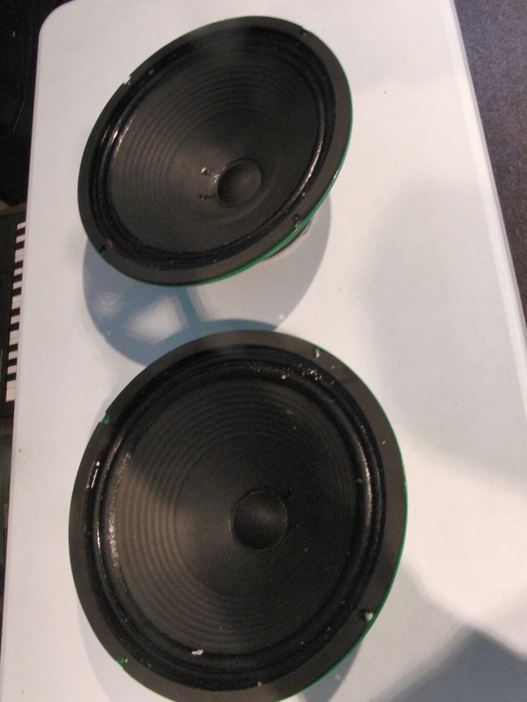 Kendrick 10 – 12 inch Green Frame Speaker x2 USA Original Production Rare ROCKIN