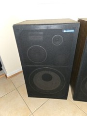 Pioneer CS-G301WA II Speakers – Pair