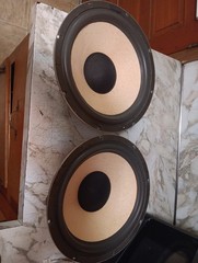 FISHER 12″ ST-920 and other speakers —new foam surrounds SC80653-2