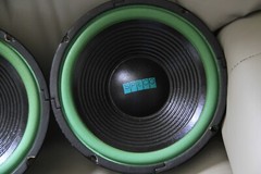 1 PAIR SPECO 10 Inch Woofers 200 Watt 8 Ohm Audiophile Speakers 60 Oz Magnets