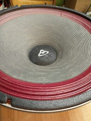 Vintage Cerwin Vega 15 Inch Woofer W15P Speaker “Read”