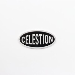 Celestion Speaker Logo Badge Oval Emblem Custom Made 51mm(2″)X25mm(0.98″) Silver