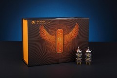 Matched Pair ShuGuang CV181-T Gold T Grade Vacuum Tube Amplifier Perfect Classic