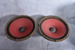 PAIR STROMBERG CARLSON Slimline 12″ Speakers Sound Very Nice EX Cond.