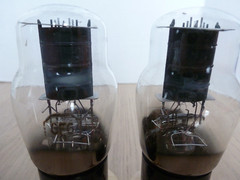 PAIR OF RCA 6F6G TUBES