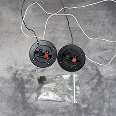 Used Set of Fisher ST-920 Quick Connect Speaker Wire Terminals & Screws