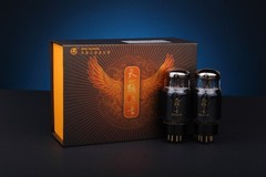 2 x ShuGuang 6CA7-T Gold T Grade HIFI Audio Vacuum Tube Amplifier Classic EL34